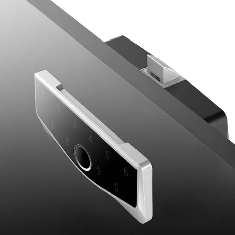 Roombanker APP/Password/Fingerprint/Card Network Server Cabinet Lock - ANKUX.COM