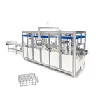 PLC Control Independent Drive Toilet Tissue Paper Packing Machine Automatic