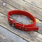 Accessories nylon pet dog collar for pets