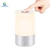 Smart LED Light Baby Lamp White Noise Sleep Aid Light Smart night light