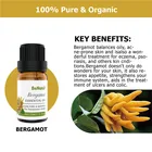 Food Grade Oil 100% Natur Flavor Food Grade Citrus Bergamot Extract Essencebergamot Essential Oil