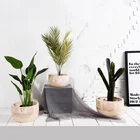 Plants Pot HOT SELL Hot Sale For Wholesale Shopping Center The Hotel Place The Flower Place Green Plants Wooden Pot