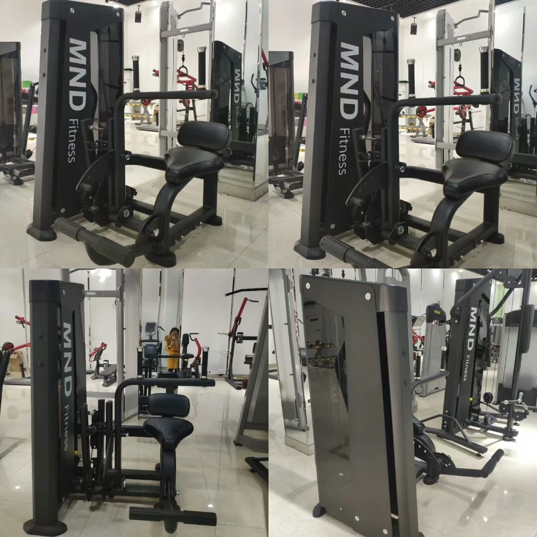 Customized Dip Chin Assist Commercial Fitness Bodybuilding Machine