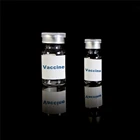 Vial Human Empty Clear Glass Injection Vaccine Storage Vial Bottle With Cap