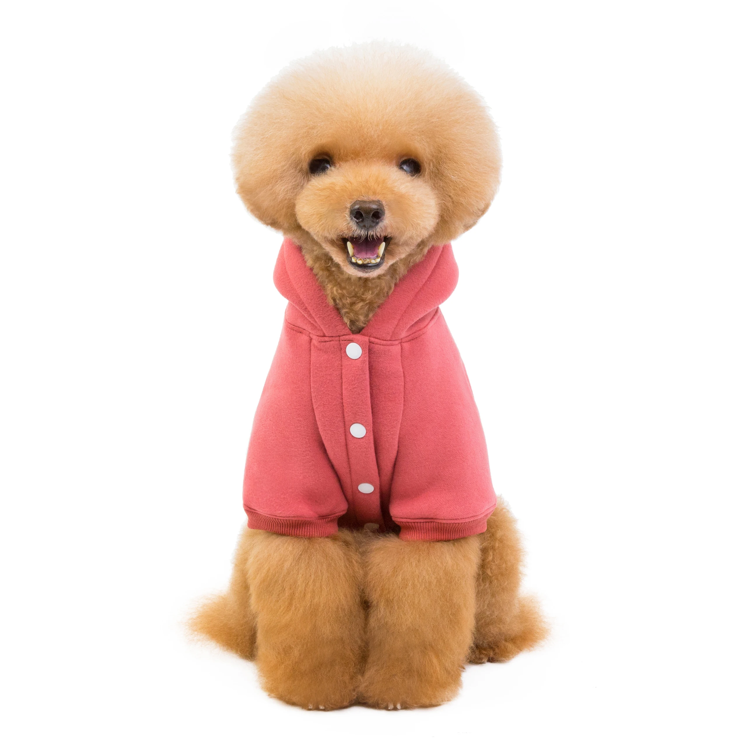 Winter New Pet Supplies Dog Sweater Fleece Cotton Pet Clothes Dog Hoodie Teddy Bulldog Solid Color Casual Dog Coats Wholesale