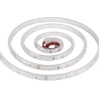 Rgb Rgbw Waterproof SMD2835 LED Strip Light For Project Business IP65 Silicone Tube Single Colour RGB RGBW