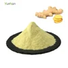 /product-detail/ginger-extract-powder-price-organic-freeze-dried-ginger-powder-62238687147.html