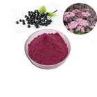 100% natural black elderberry P.E organic black elderberry extract powder