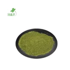 100% Pure High Quality Ashitaba Herb Fresh Ashitaba Powder