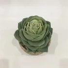 Succulent Plants Pot Plant Artificial Succulent Plants With Rattan Style Ceramic Pots For Plants Ceramic