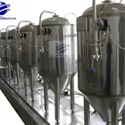 100L micro beer brewing equipment for homebrew project