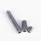 Strainless Steel M10 316 Hex Socket Set Screws with Cone Screws Binding Screws