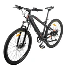 Electric Fashion Mountain Electric Bicycle 36V Hidden Down Tube Battery 250W Rear Brushless Motor