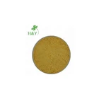 100% natural cortex phellodendri extract berberine hcl 97%
