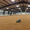 Indoor agriculture steel structure building/steel structure horse riding arena