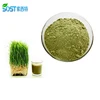 Health Care Raw Material Organic Wheat Grass Powder