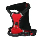 Hot Sale Large Dog Name Harness Small Medium Big Dog Harness Personalized Harness for Dogs