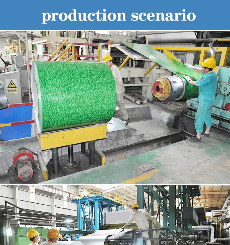 Customized ppgi hot dip galvanized coating steel coil/ppgl coil cold rolled steel sheet price