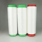 50D/48F DTY Filament SD Nylon 66/Nylon 6 Twisted Yarn Polyamide Textured Yarn