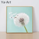 Custom dandelion Photo uv Print Plexiglass Art Home Decor Print on Glass