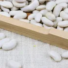 Bean Beans Chinese Big White Kidney Bean Organic Certified By ECOCERT