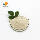 Health supplement improve intestinal powdered probiotics bifidobacterium lactis