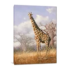 Handmade Photograph Artwork Wild Animal Giraffe Oil Painting on Canvas