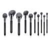high end nylon hair fan style head black wood handle silver ferrule 10 high quality makeup brush set hot sale for middle class