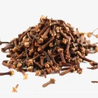 Seasoning Wholesale Cloves Caryophylli Flos Syzygium Aromaticum Seeds
