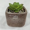 New Plants Flower Pots Cute Cement Concrete Artificial Succulent Potted