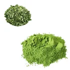 100% Pure Natural Anti-bacterial and Anti- tumor Moringa Oleifera Leaf Extract Powder