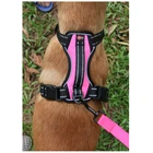 Walking Dog Accessories Anti-Slip Pet Dog Harness,4 Sizes Per Set Dog Safety Harness No Pull