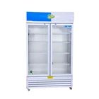600L 2 door display fridge food storage chiller Showcase Refrigerator