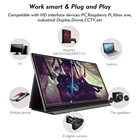 1 Year Warranty Sibolan 15.6 Inch Lcd Pc Ps4 Portable Full Hd Monitor For Gaming With Usb Type-C