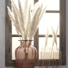 Dried Flower Free Samples Natural Dried Flower White Pampas Grass For Interior Decoration