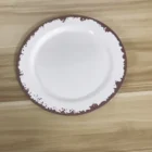 Disposable Melamine Outdoor Plates OMW19-27