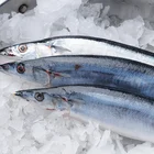Huiyang Seafood frozen package High-protein raw saury; fresh fish food;whole round Pacific Saury
