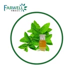 Oil Spearmint Spearmint Farwell CAS#8008-79-5 Essential Oil 60%/ 80% Natural Spearmint Oil