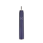 Wholesale Adult vibrator Sonic Electric Black Toothbrush With Brush holder head