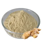 100% Pure Natural Ginger Extract Powder(water soluble)