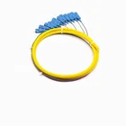 China ZKP singlemode 12 Core Bundle SC/UPC Breakout Cable Fiber Optic Pigtail