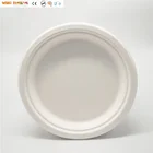 Compostable 10 Inch Plate made from Bagasse Sugarcane Fiber - Pack of 150