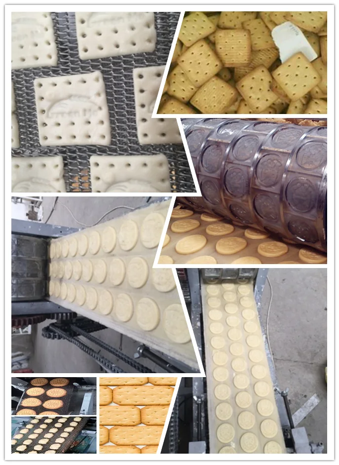 product dog biscuit cookie making machine production line automatic electric mini cookie maker snack machines-10