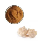 Natural Grinded Milled Lion's Lions Mane Mushroom Powder Non Extract
