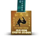 Cheap Price Metal Souvenir Medallion Judo Sport Medal