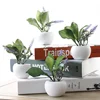 /product-detail/decorative-bonsai-supplies-artificial-flowers-with-white-pot-artificial-bonsai-flower-62341394675.html