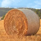 Bale Net Wrap 100% Hdpe PE Silage Plastic Mesh Bale Net Wrap For Farm