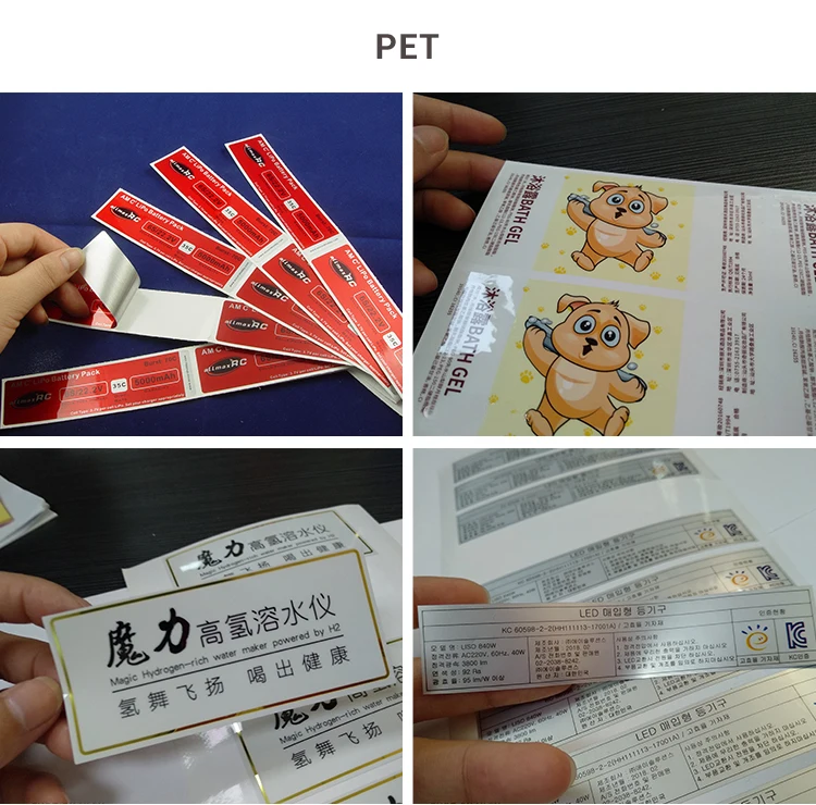 PET_01.jpg