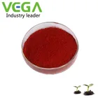 VEGA Hot Selling China Vitamin B12 Vitamin Cyanocobalamin powder Food Supplement