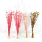 Real Wedding Decoration SumFlora Real Natural Colorful Dried Flower Corn Poppy For Wedding Decoration
